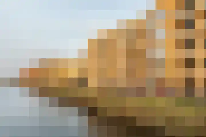 Revaleiland 53 Amsterdam thumbnail 4