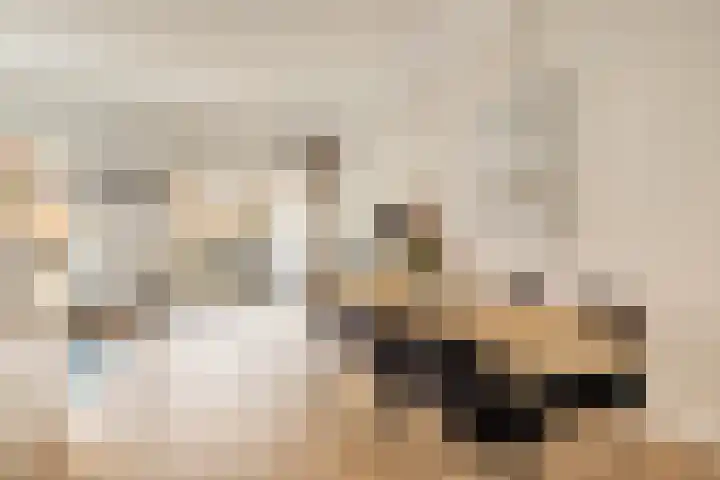 Revaleiland 53 Amsterdam thumbnail 6