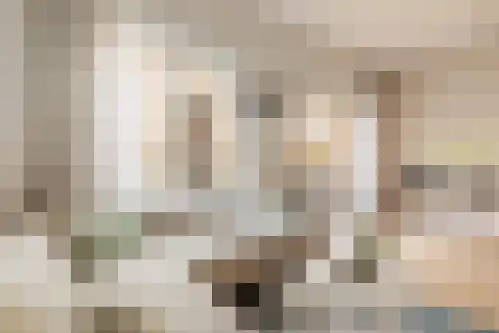 Revaleiland 53 Amsterdam thumbnail 7