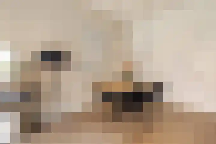 Revaleiland 53 Amsterdam thumbnail 8