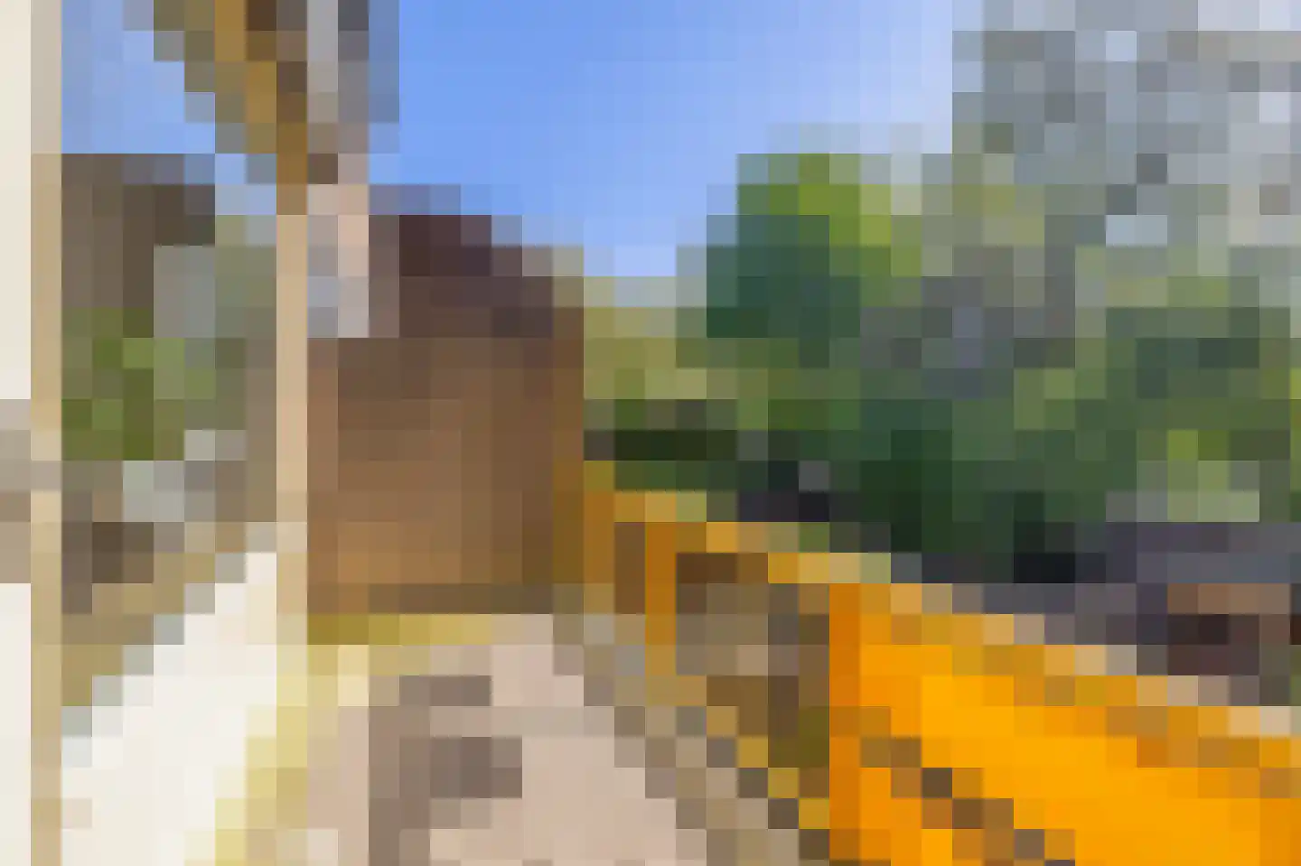 Revalmeen 8 Harderwijk thumbnail 12