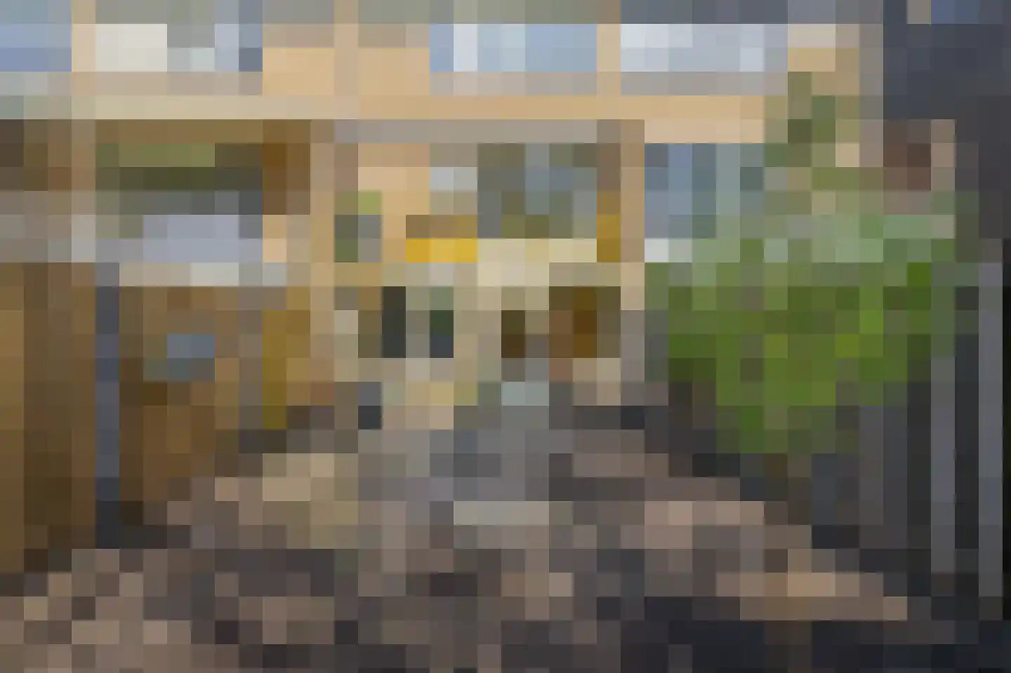 Revalmeen 8 Harderwijk thumbnail 26