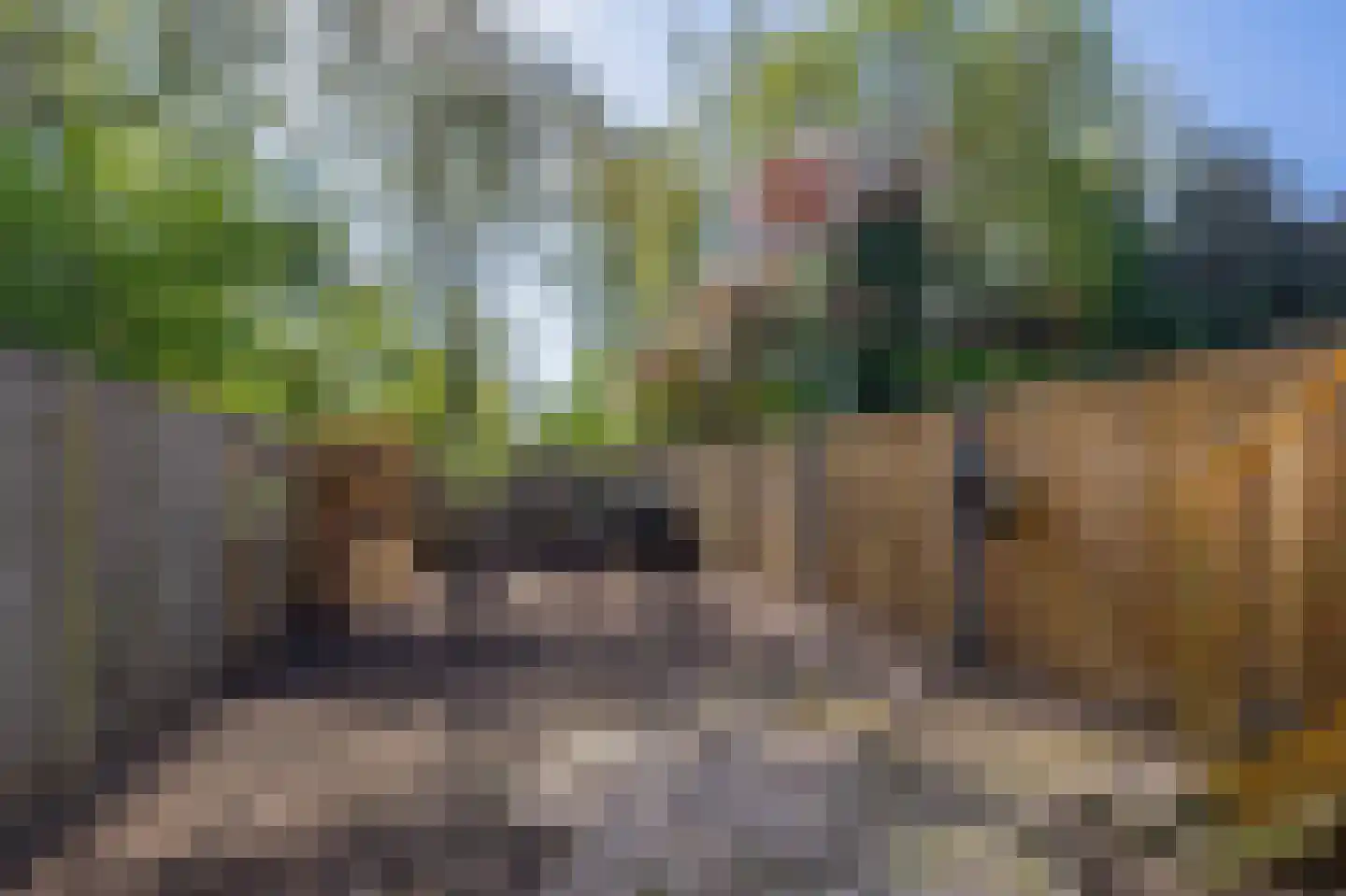 Revalmeen 8 Harderwijk thumbnail 27