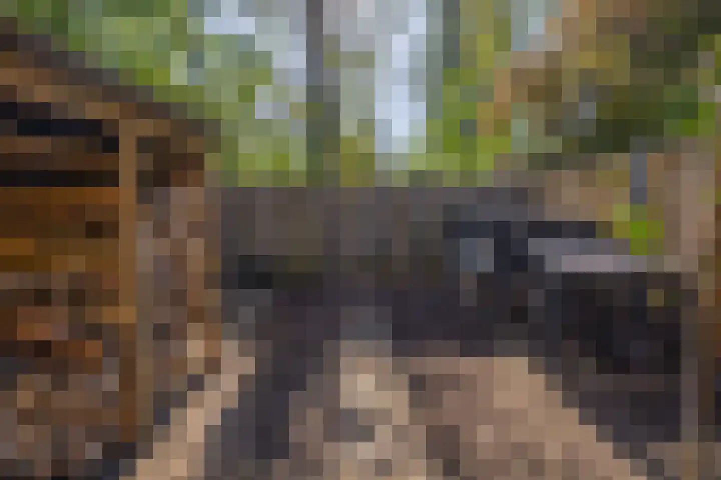 Revalmeen 8 Harderwijk thumbnail 28