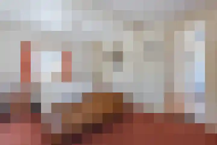Revelingseweg 76 Wapenveld thumbnail 12
