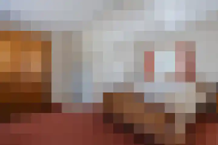 Revelingseweg 76 Wapenveld thumbnail 13