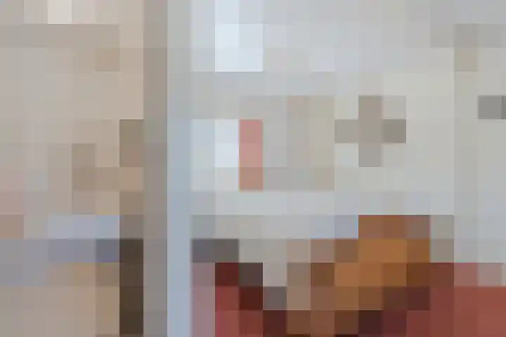 Revelingseweg 76 Wapenveld thumbnail 15