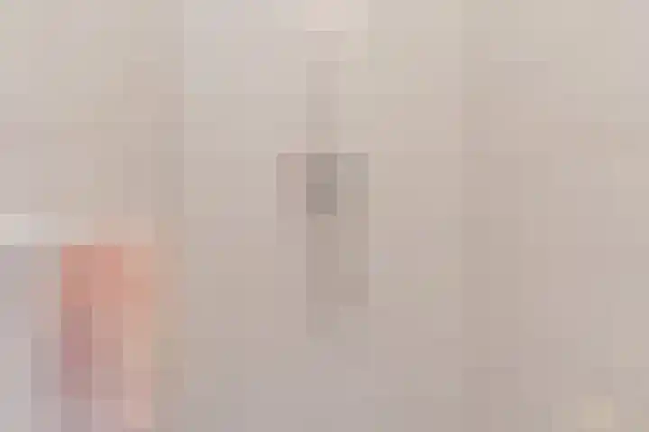 Revelingseweg 76 Wapenveld thumbnail 18