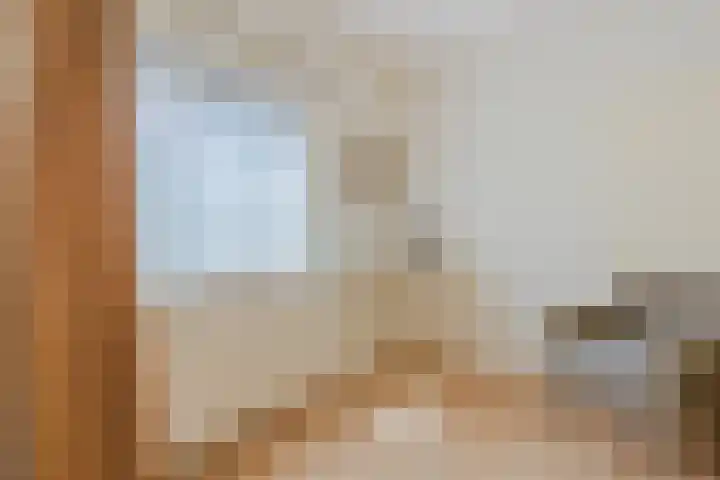 Revelingseweg 76 Wapenveld thumbnail 19