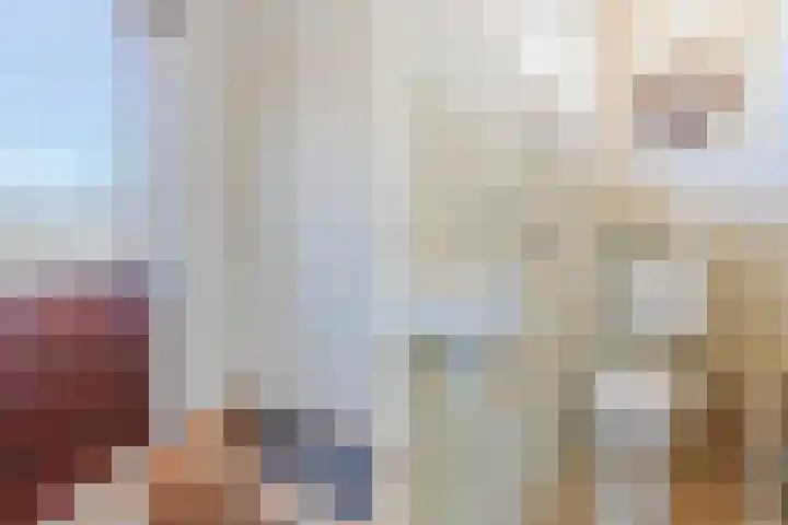 Revelingseweg 76 Wapenveld thumbnail 22