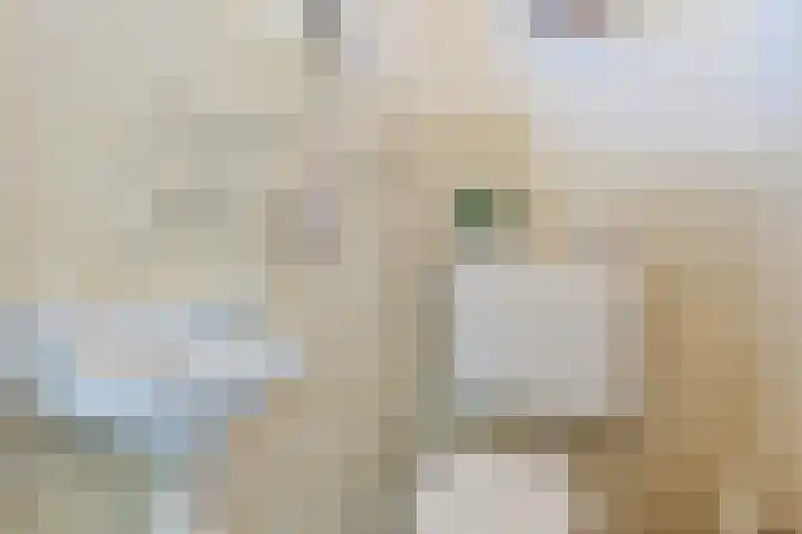 Revelingseweg 76 Wapenveld thumbnail 24