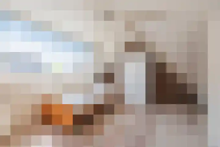 Revelingseweg 76 Wapenveld thumbnail 29