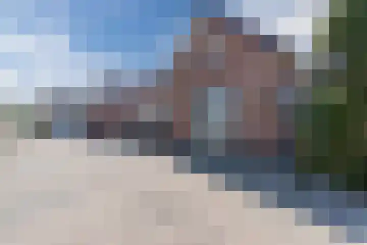 Revelingseweg 76 Wapenveld thumbnail 33