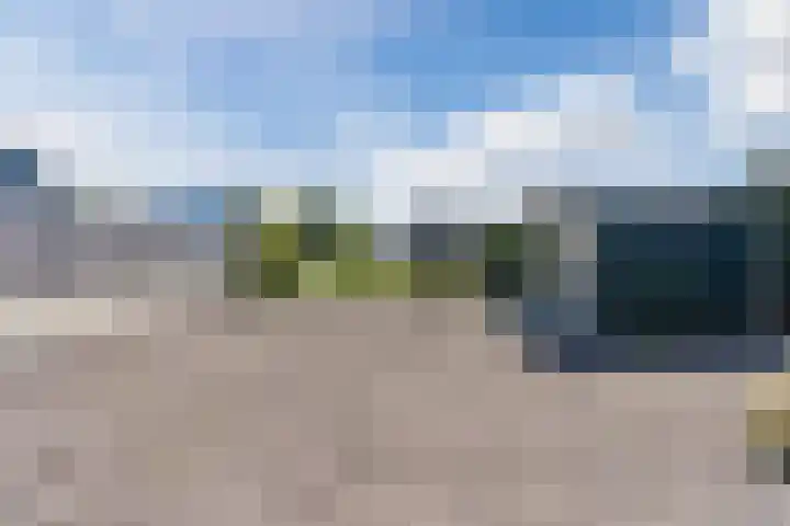 Revelingseweg 76 Wapenveld thumbnail 38