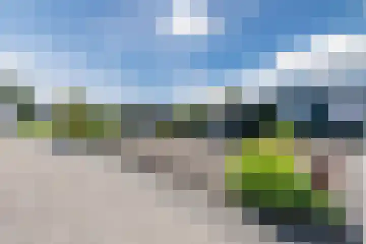 Revelingseweg 76 Wapenveld thumbnail 39