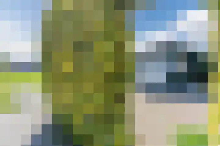 Revelingseweg 76 Wapenveld thumbnail 40