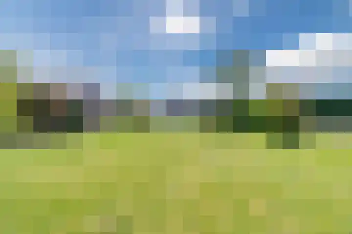Revelingseweg 76 Wapenveld thumbnail 41