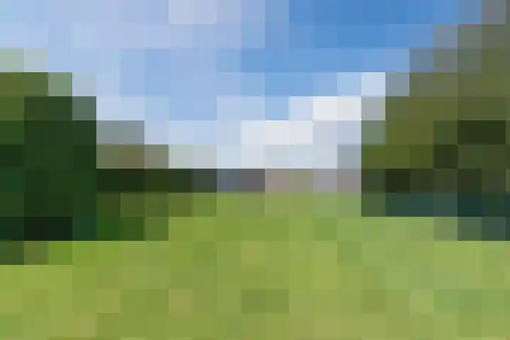 Revelingseweg 76 Wapenveld thumbnail 42