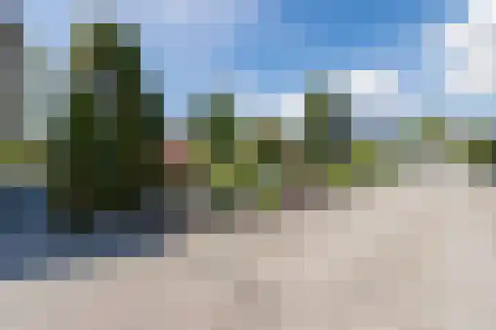 Revelingseweg 76 Wapenveld thumbnail 43