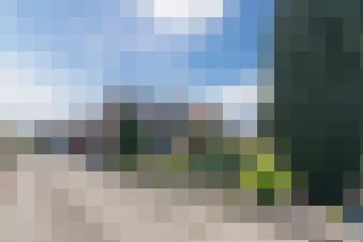 Revelingseweg 76 Wapenveld thumbnail 44