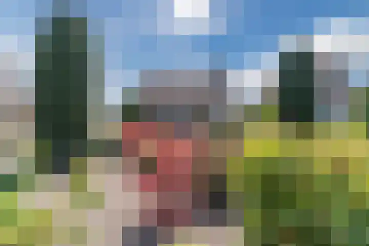 Revelingseweg 76 Wapenveld thumbnail 45