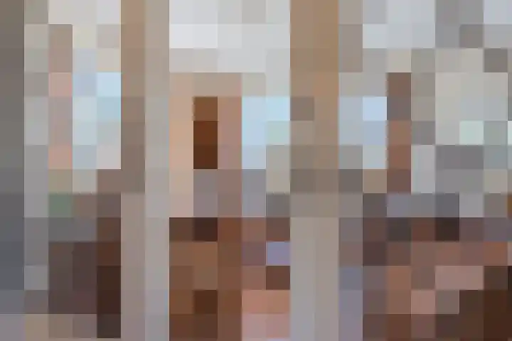 Revelingseweg 76 Wapenveld thumbnail 7