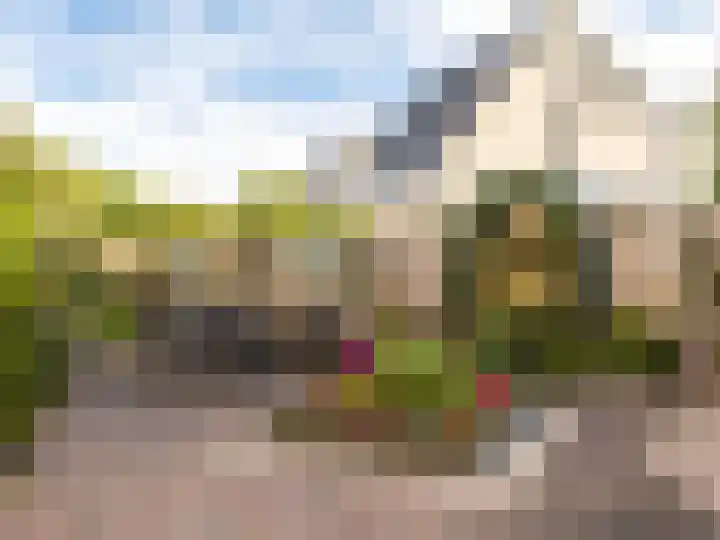 Revelmanstraat 18 Zutphen thumbnail 27