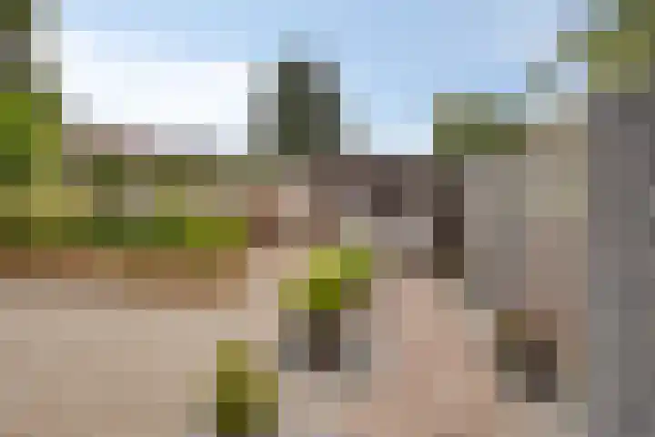 Revelmanstraat 2 Zutphen thumbnail 39