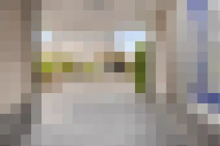 Revelmanstraat 2 Zutphen thumbnail 45