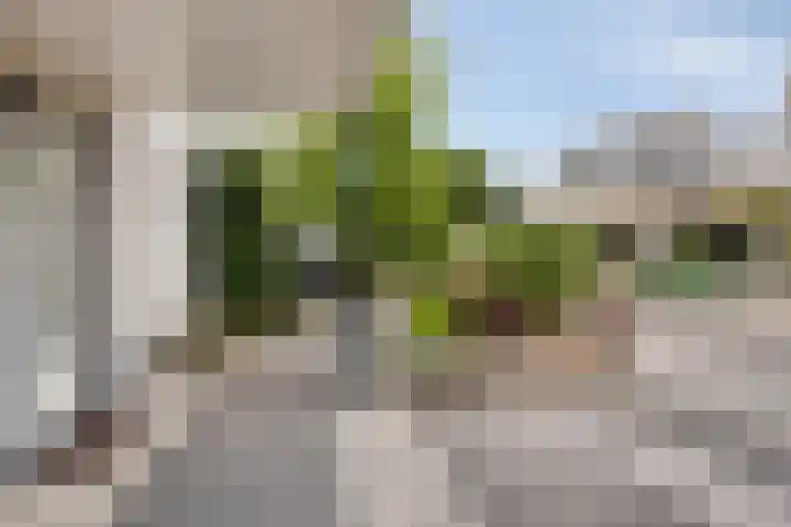 Revelmanstraat 2 Zutphen thumbnail 52