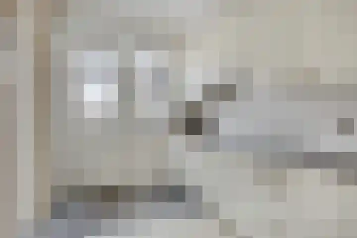 Revelsant 3 Emmeloord thumbnail 11