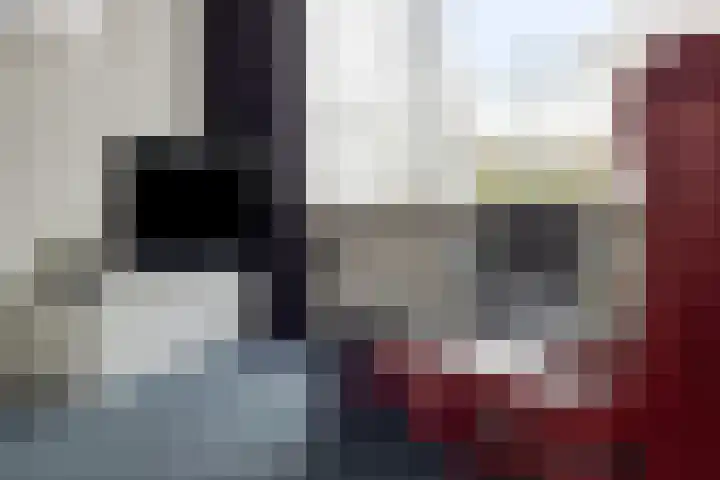 Revelsant 3 Emmeloord thumbnail 12