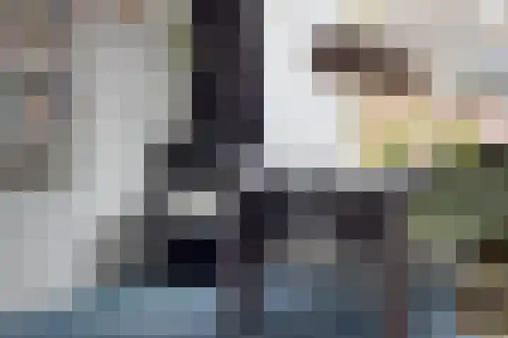 Revelsant 3 Emmeloord thumbnail 13