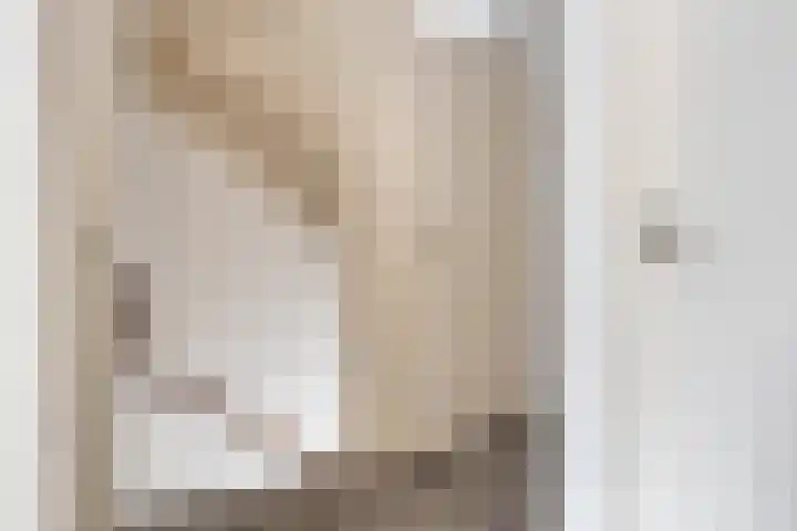 Revelsant 3 Emmeloord thumbnail 14