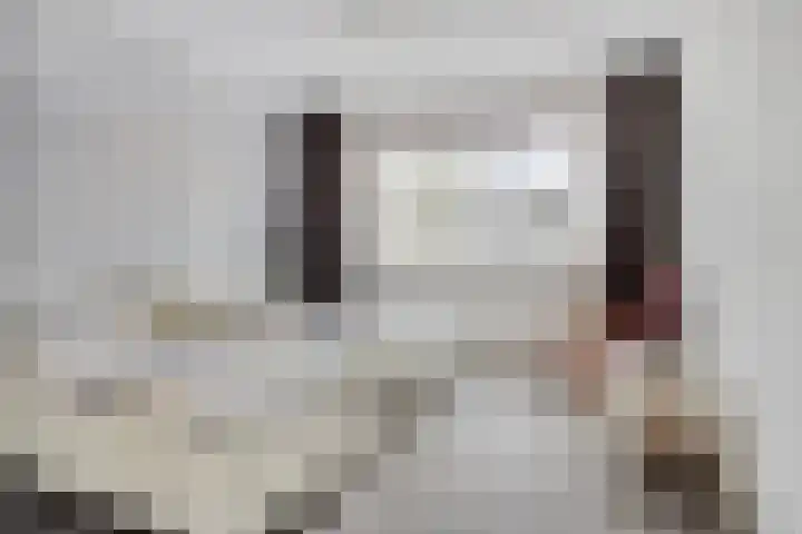 Revelsant 3 Emmeloord thumbnail 15