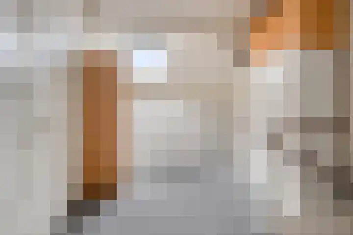 Revelsant 3 Emmeloord thumbnail 25