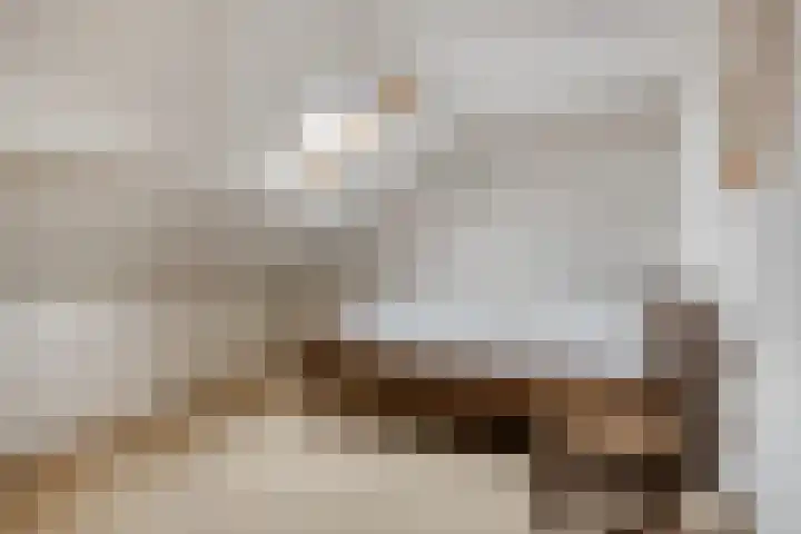 Revelsant 3 Emmeloord thumbnail 29