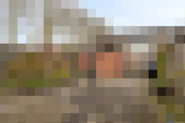 Revelsant 3 Emmeloord thumbnail 31
