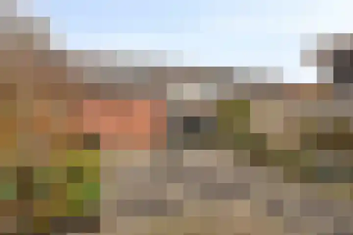 Revelsant 3 Emmeloord thumbnail 32