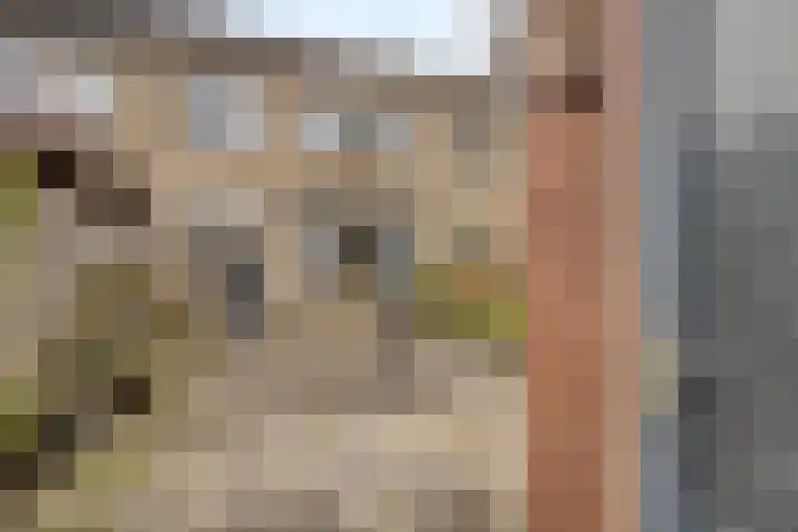 Revelsant 3 Emmeloord thumbnail 34