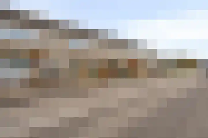 Revelsant 3 Emmeloord thumbnail 38