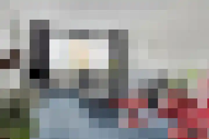 Revelsant 3 Emmeloord thumbnail 6