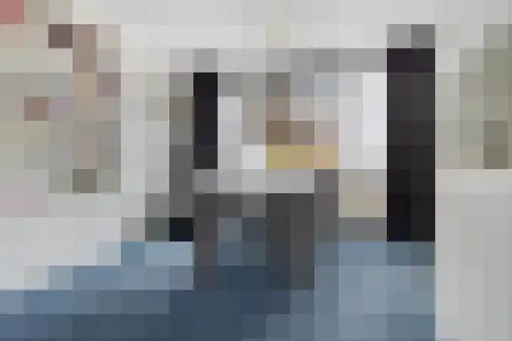 Revelsant 3 Emmeloord thumbnail 9