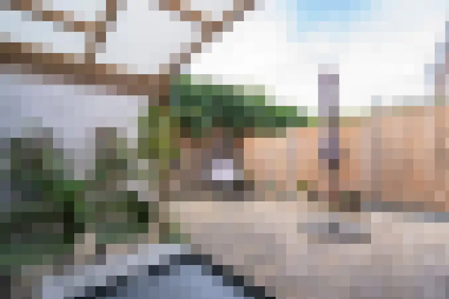 Revetsteeg 5 a Gorinchem thumbnail 27