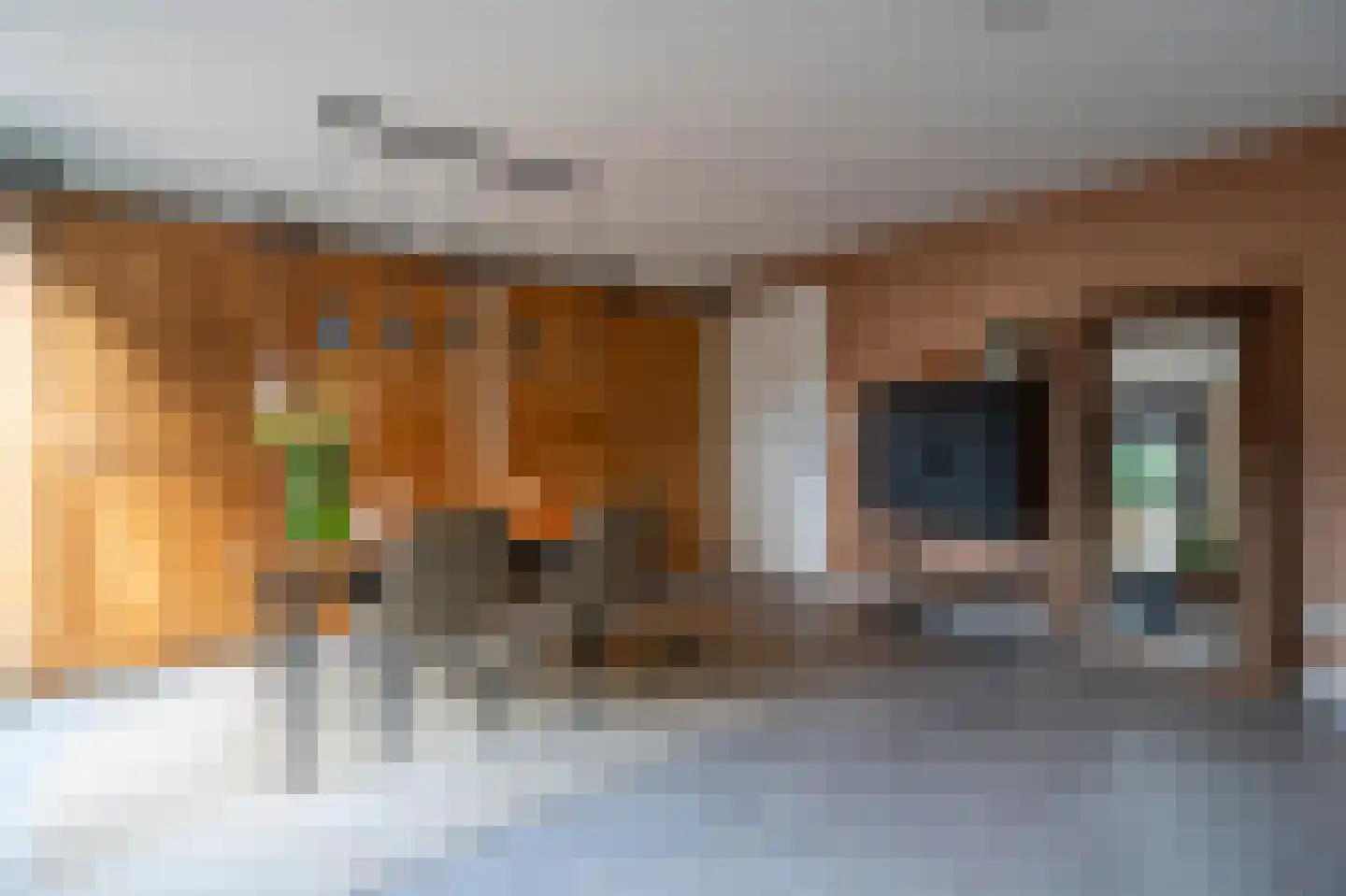 Revetsteeg 5 a Gorinchem thumbnail 31