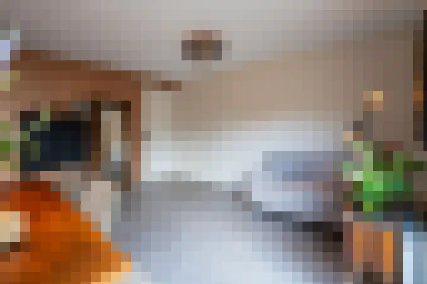 Revetsteeg 5 a Gorinchem thumbnail 32