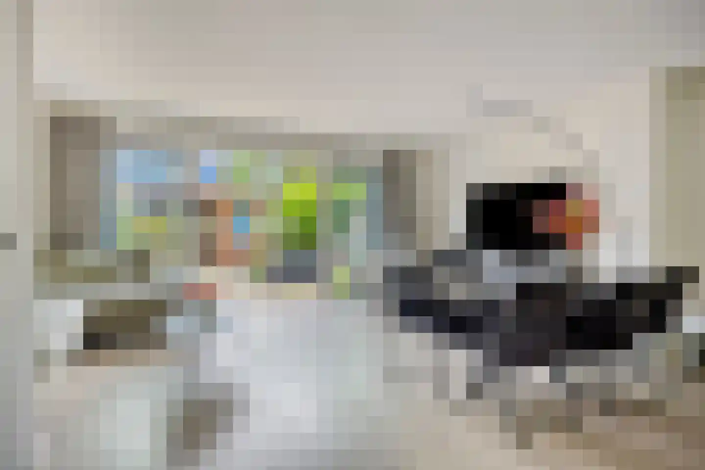 Reviusdreef 13 Leiderdorp thumbnail 15