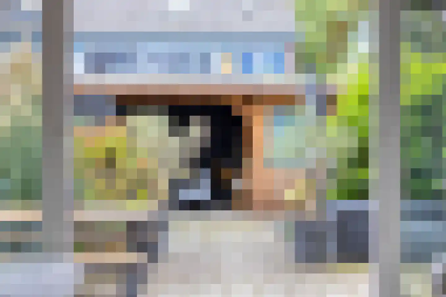 Reviusdreef 13 Leiderdorp thumbnail 19