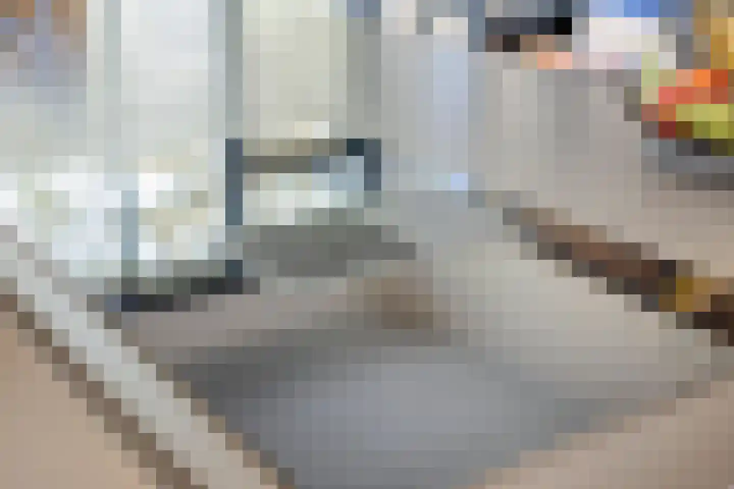 Reviusdreef 13 Leiderdorp thumbnail 24