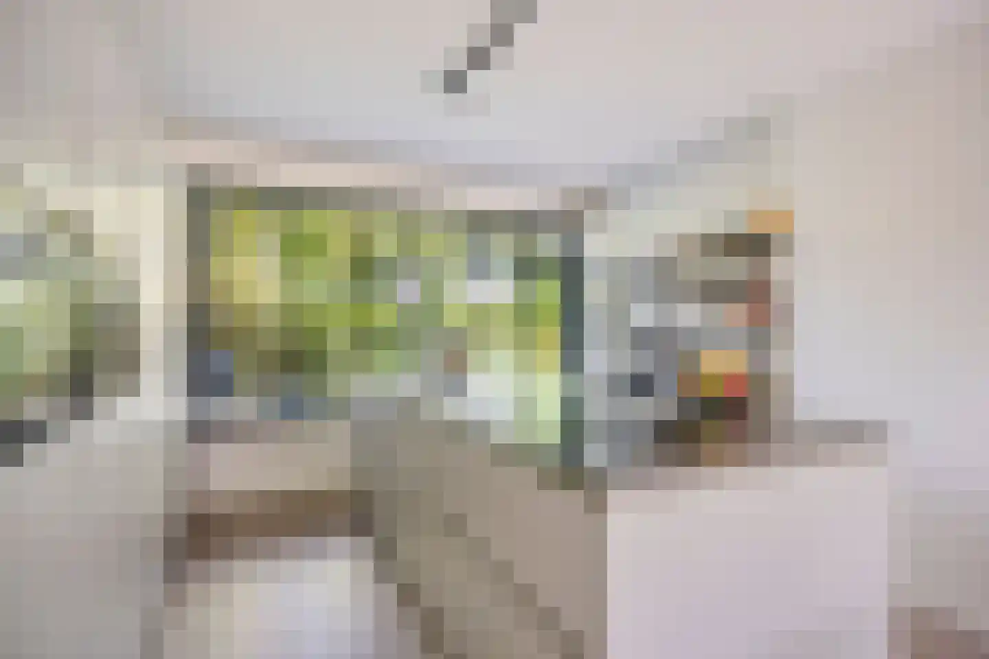 Reviusdreef 13 Leiderdorp thumbnail 25